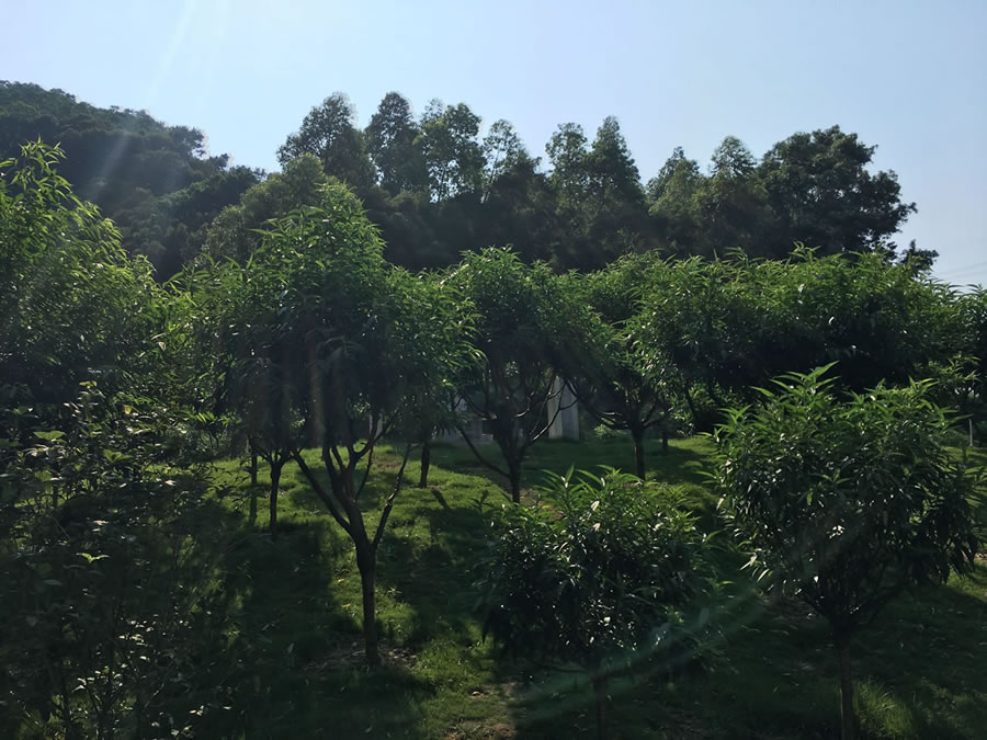 鐐瑰嚮娆ｈ祻绗�1寮犲浘鐗�